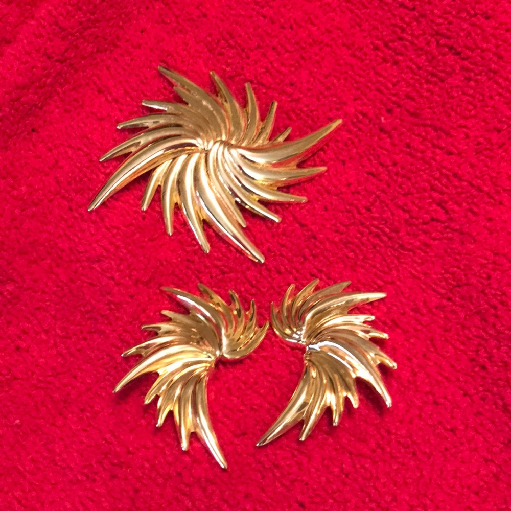Earrings and Matching Pin